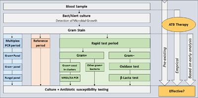 Shortening identification times: comparative observational study of three early blood culture testing protocols